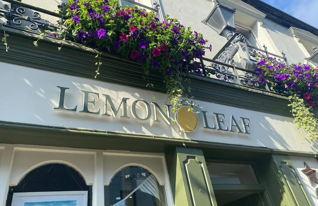 The Lemon Leaf Cafe Bar And Townhouse-1